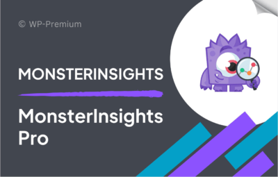 MonsterInsights Pro