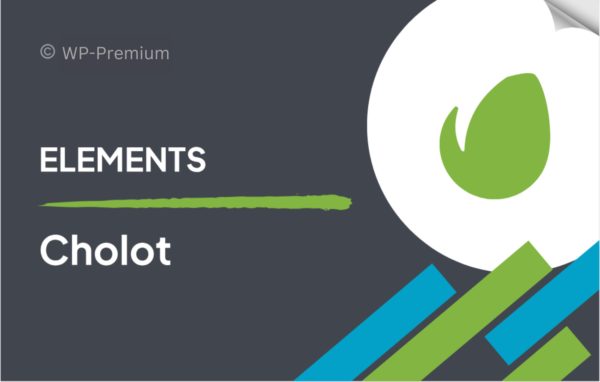 Cholot – Retirement Community WordPress Theme