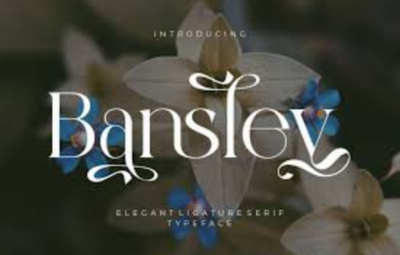 Bansley