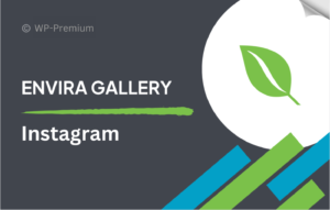 Envira Gallery – Instagram Addon