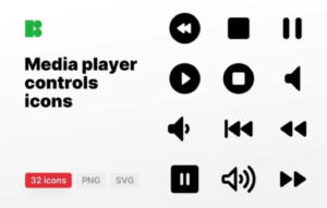 Media Player Controls