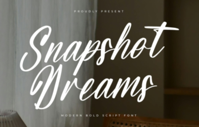 Snapshot Dreams