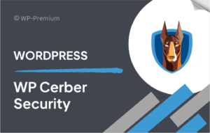 Cerber Security