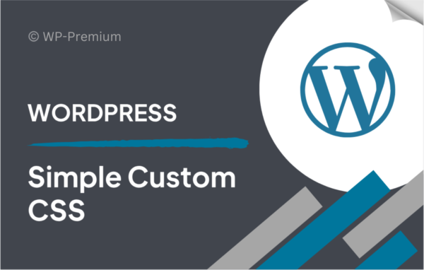 Simple Custom CSS and JS PRO