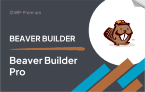 Beaver Builder Agency