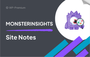 MonsterInsights Site Notes Automations