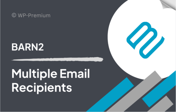 Multiple Email Recipients