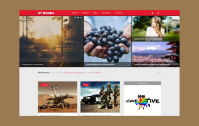 Reader – News & Magazine Drupal Theme