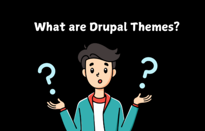 What are Drupal Themes