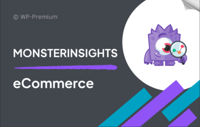 MonsterInsights – eCommerce Addon