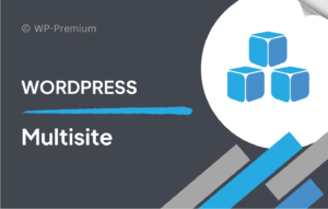 All-in-One WP Migration Multisite Extension 4.37