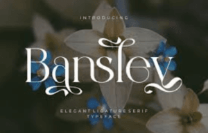 Bansley Elegant Ligature Serif