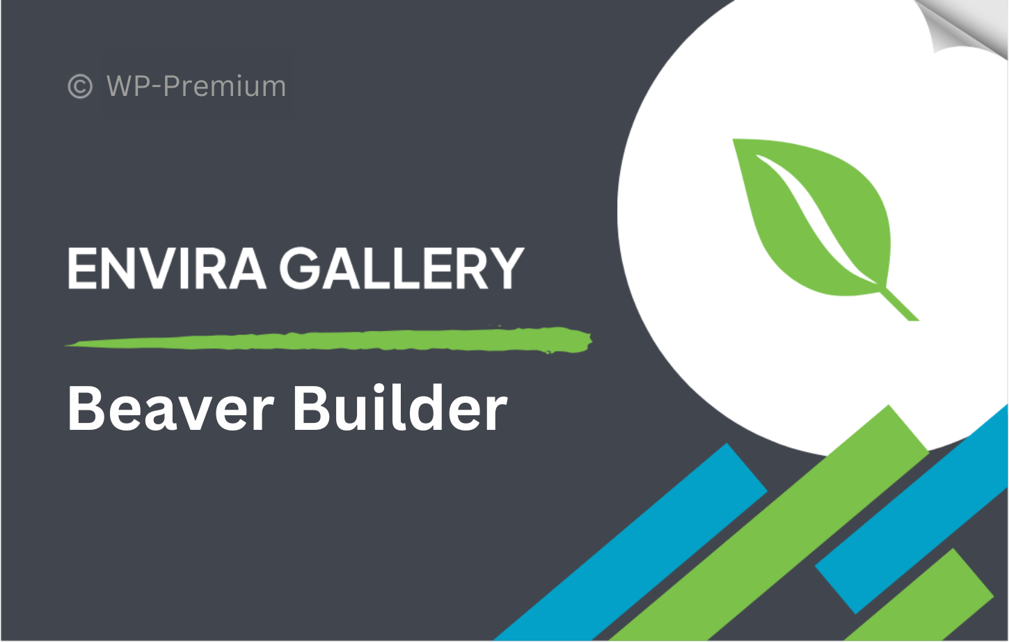 Envira-Gallery-–-Beaver-Builder-Addon.png Envira Gallery – Beaver Builder Addon 1.1.3 - Image 1