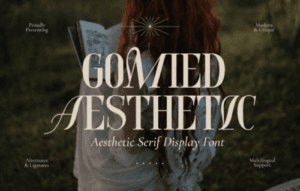 Gomied Aesthetic – Serif Display Font