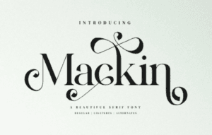 Mackin – Beautiful Ligature Font
