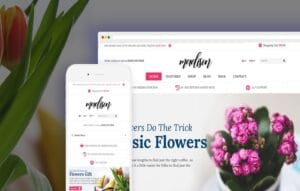 Madison Shopify Theme