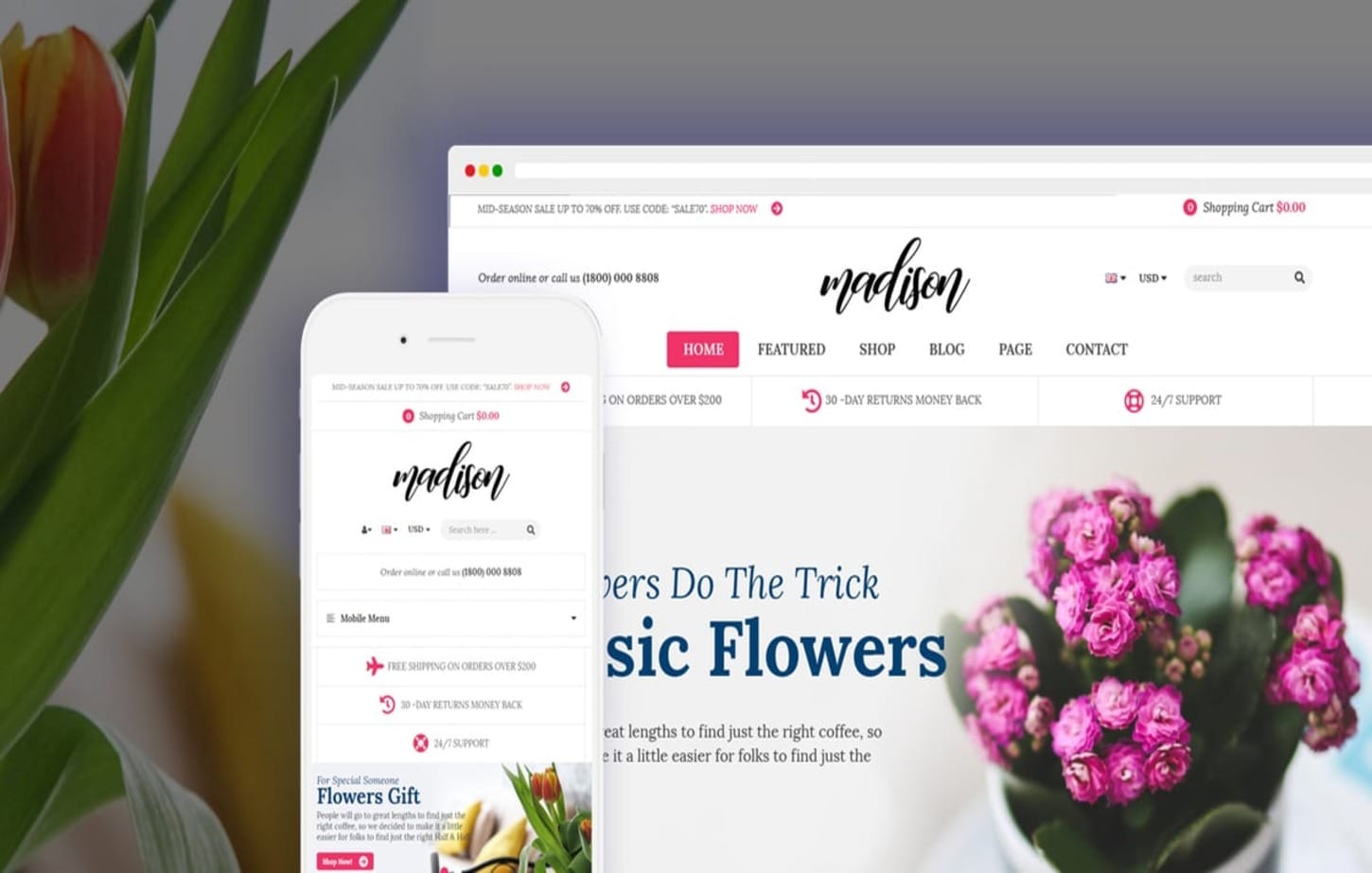 Madison Shopify Theme Madison Shopify Theme