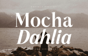 Mocha Dahlia Modern Serif Font