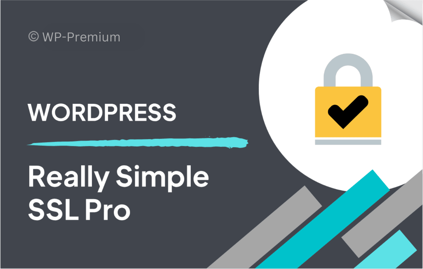 Really-Simple-SSL.png Really Simple Security Pro
