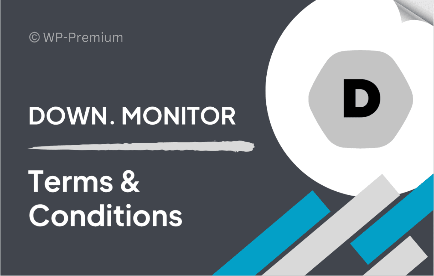 Terms-Conditions.png Download Monitor Terms & Conditions 4.1.2 - Image 1