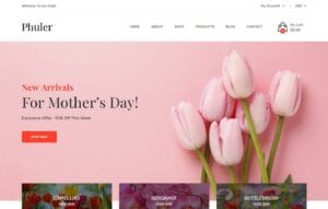 Phuler Shopify Theme