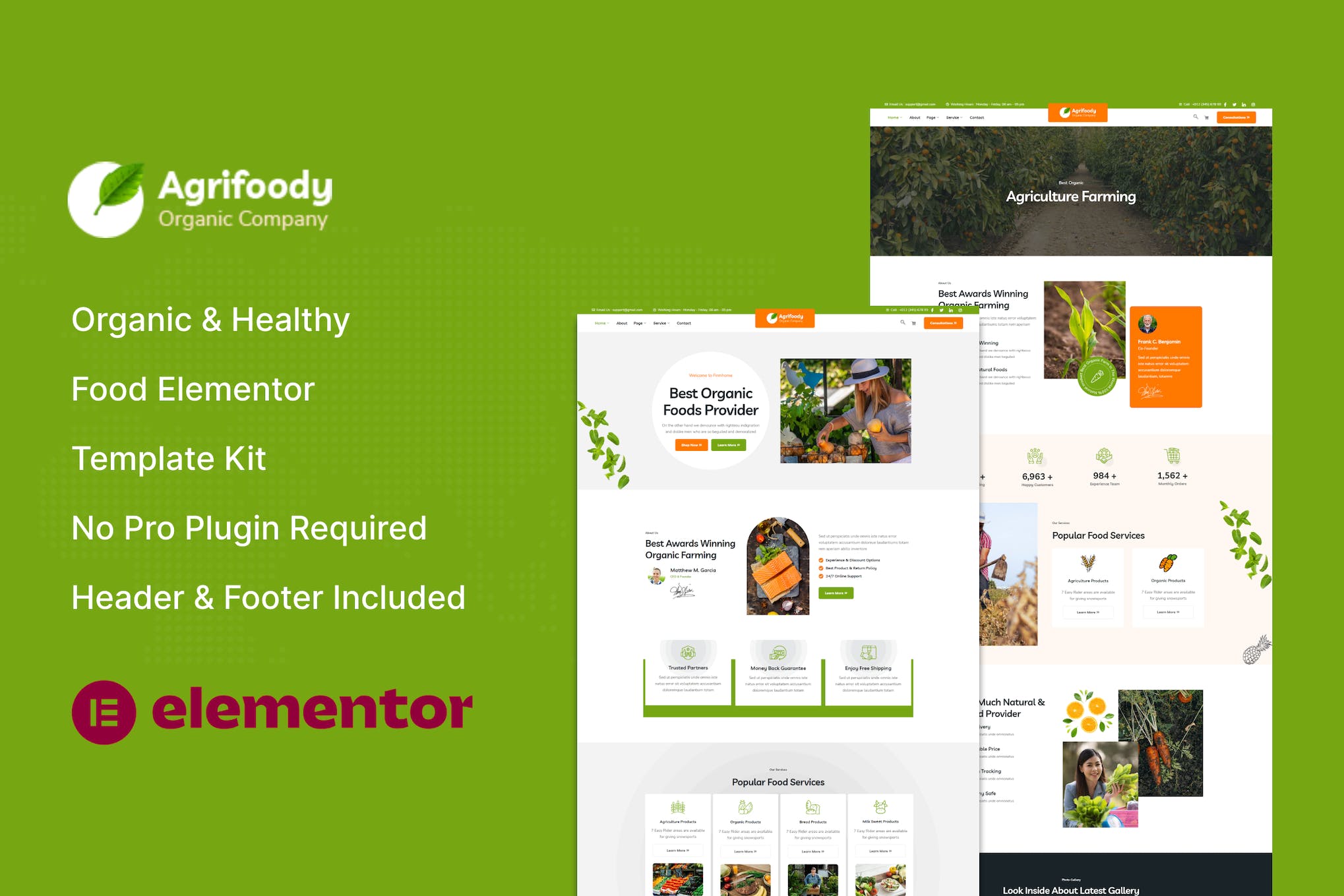 agrifoody-organic-healthy-food-elementor-template Agrifoody – Organic & Healthy Food Elementor Template Kit