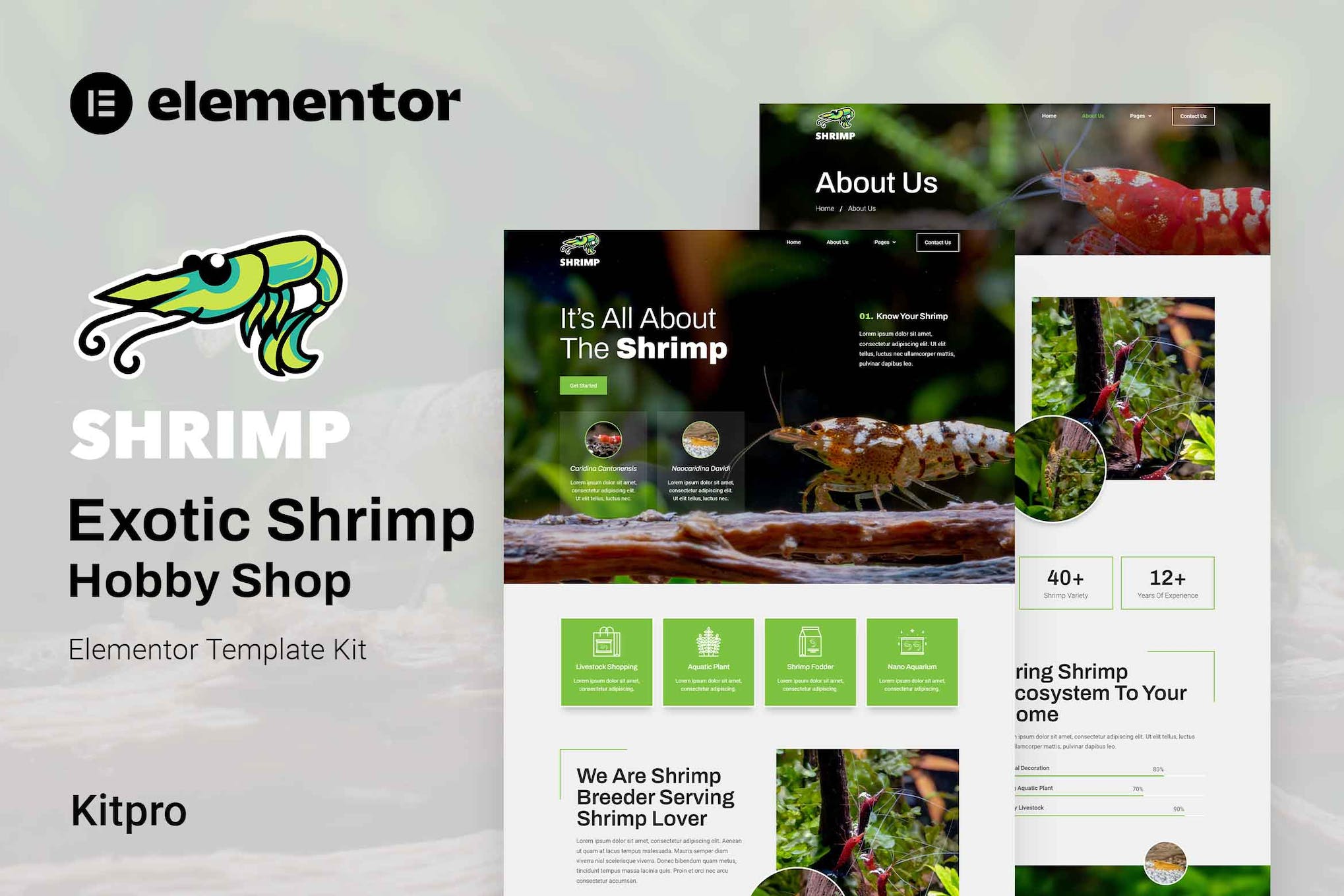 shrimp-aquarium-hobby-shop-elementor-template-kit Shrimp – Aquarium & Hobby Shop Elementor Template Kit