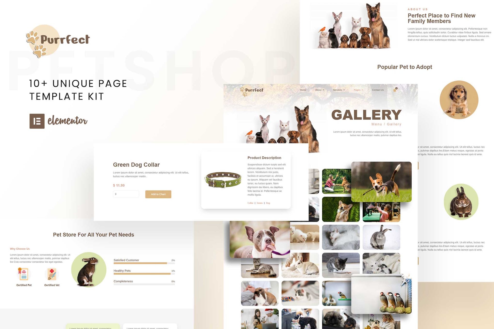 purrfect-pet-shop-elementor-template-kit Purrfect – Pet Shop Elementor Template Kit